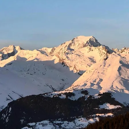 Saint Bernard G - St Bernard B18 Mae-3203 Les Arcs (Savoie)